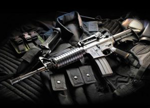 RESTRICTED GUNS