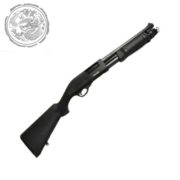 gun-000795_1 gun-000795_1