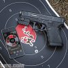 mantis4-670×447 mantis4-670×447
