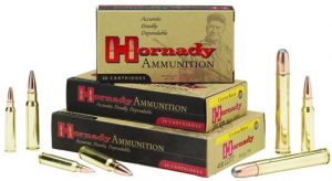 Hornady DGS 375 H&H Mag 300 Gr SP-RP Box of 20 — Go Tenda