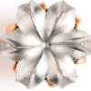 vcrown-mushroom vcrown-mushroom