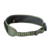 cart-belt-back