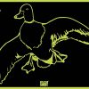 PH-duck PH-duck