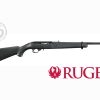 Ruger-1022-01151