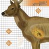45902_XRay_Deer_Target 45902_XRay_Deer_Target