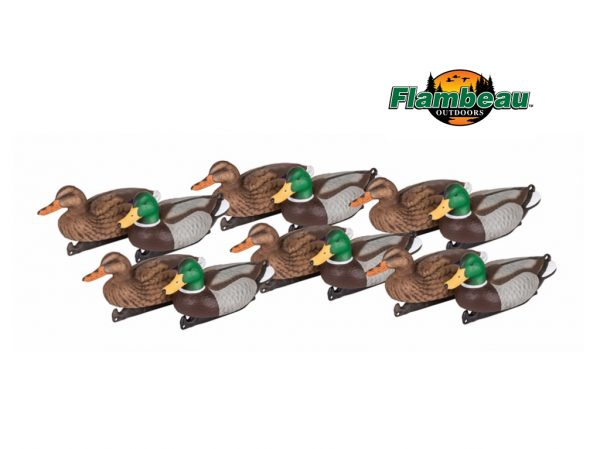 1812DPK-Family-large 1812DPK-Family-large
