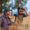 Hunting Predator 8×42 Binocular Safari Watching Across Field Hunting Predator 8×42 Binocular Safari Watching Across Field