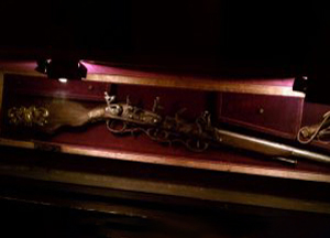 RIFLES