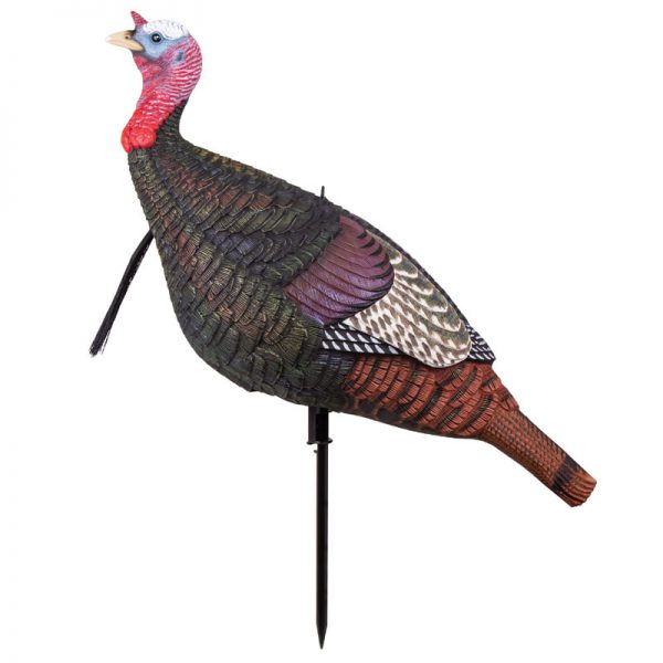 flambeau-outdors-hunting-turkey-decoys-walking-tom-MD-715-1 flambeau-outdors-hunting-turkey-decoys-walking-tom-MD-715-1
