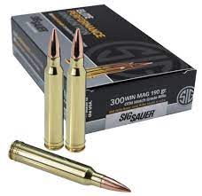 Sig Sauer Elite Match 308 Win 175 Gr OTM Box of 20 — Go Tenda
