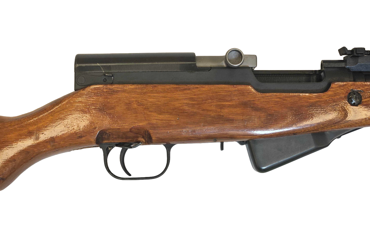 CS-299 (3) CS-299 (3)