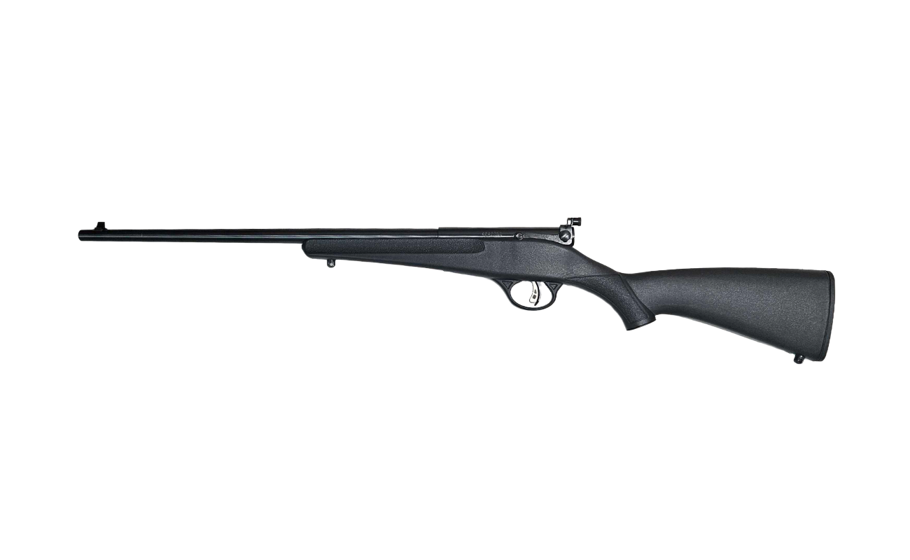 CS-398 (2) CS-398 (2)