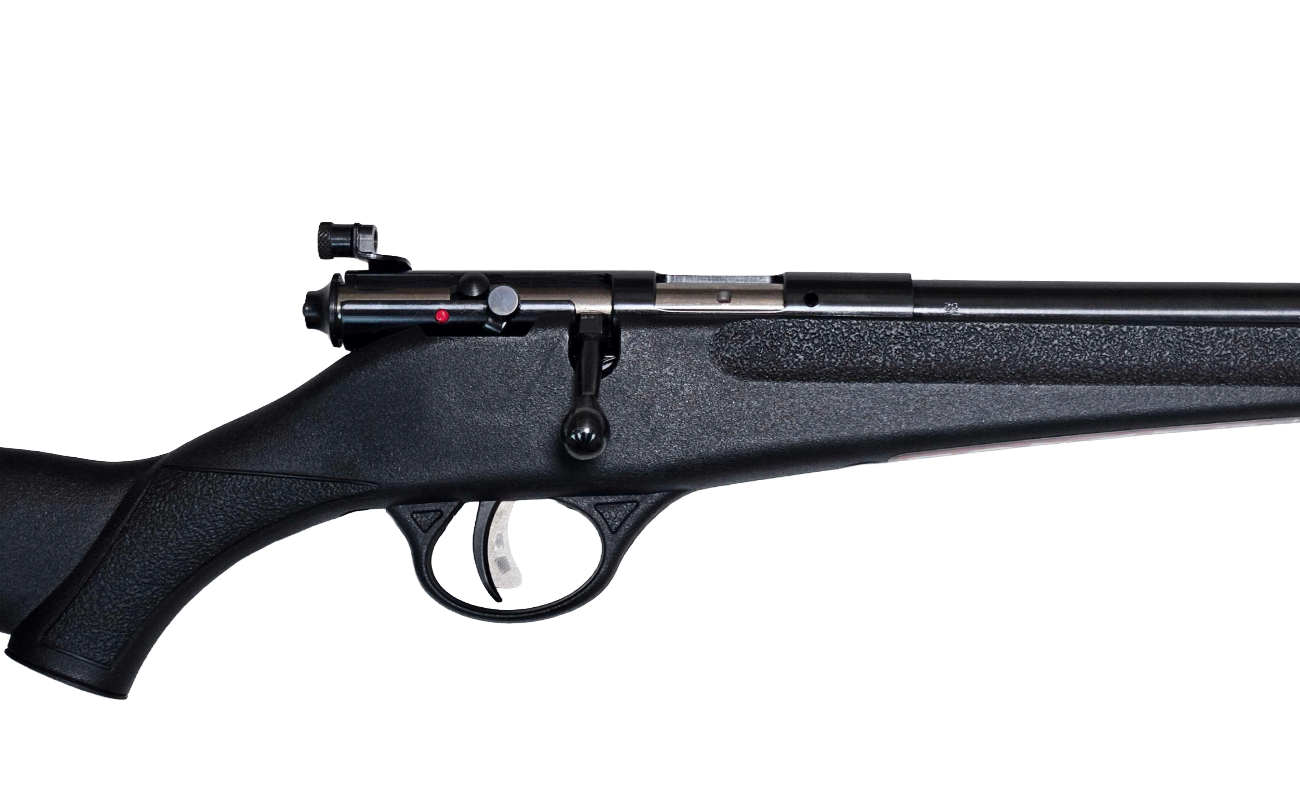 CS-398 (3) CS-398 (3)