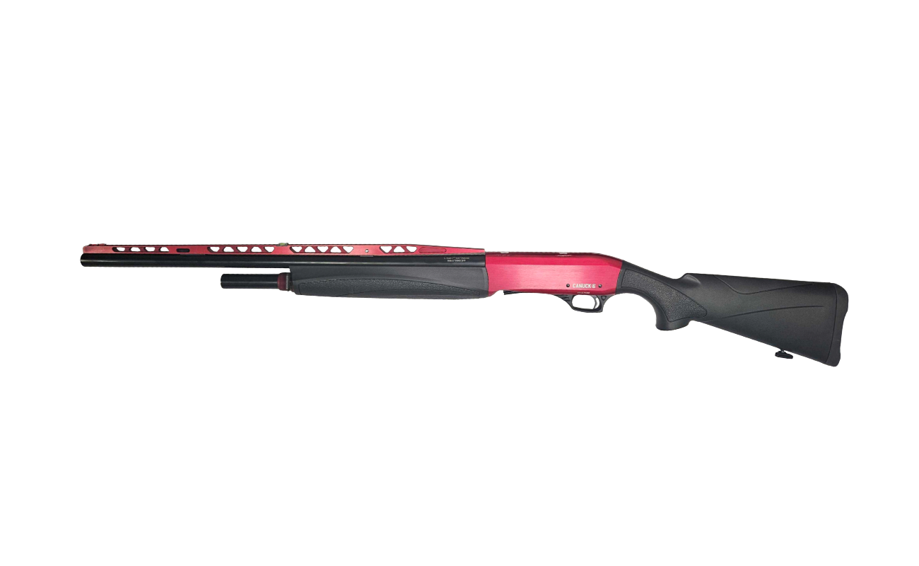 CS-773 (4)