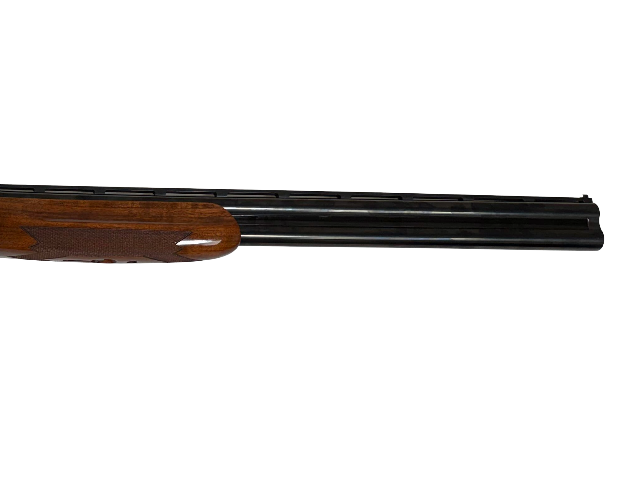 CS781 (2) CS781 (2)